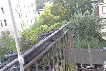 *** SIGNATURE ACTE DE VENTE LE 20 JUIN 2025 *** Saint-Jean - Appartement de 3 pièces au 3ème, calme, lumineux, balcon, charme