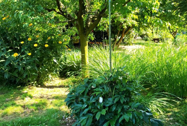 "Petit coin de paradis" à Fully, terrain constructible