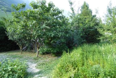 "Petit coin de paradis" à Fully, terrain constructible