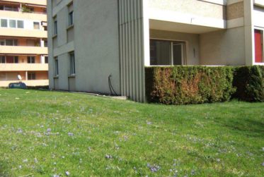 Proche Dranse, joli 3,5 pièces entièrement rénové