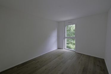 Bellevue. calme, lumineux, nouvel appartement contemporain avec spacieux balcon