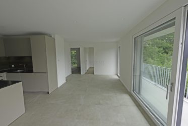 Bellevue. calme, lumineux, nouvel appartement contemporain avec spacieux balcon