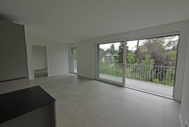 Bellevue. calme, lumineux, nouvel appartement contemporain avec spacieux balcon