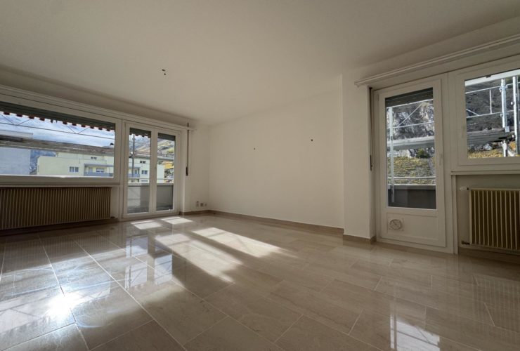 Beau et spacieux 3.5 pièces au calme avec deux grands balcons proche hôpital