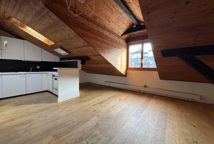 Charmant studio sous combles au cœur de la vieille ville de Sion