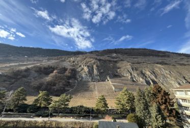 Beau et spacieux 3.5 pièces au calme avec deux grands balcons proche hôpital