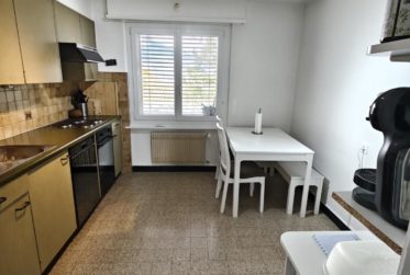 Grand 4,5 pièces rafraichi proche de la gare à Ardon