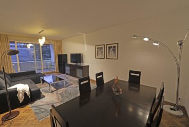 Versoix, spacieux appartement meublé (ou non meublé) de 5 pièces, très fonctionnel, avec grand balcon donnant sur parc !