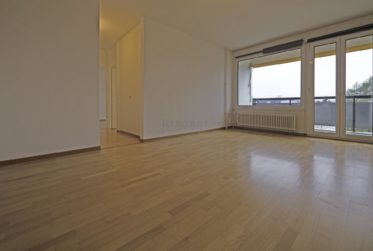 Bel appartement de 5.0 pièces avec vue dégagée !