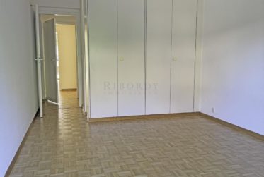 Spacieux, ensoleillé, avec une grande terrasse ainsi qu'un balcon !