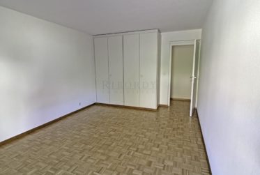 Spacieux, ensoleillé, avec une grande terrasse ainsi qu'un balcon !