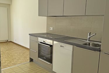 Spacieux, ensoleillé, avec une grande terrasse ainsi qu'un balcon !