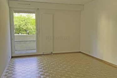 Spacieux, ensoleillé, avec une grande terrasse ainsi qu'un balcon !