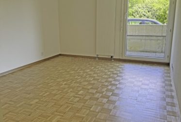 Spacieux, ensoleillé, avec une grande terrasse ainsi qu'un balcon !