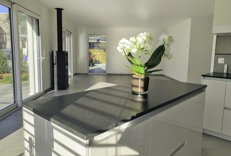 Plateau de Pinchat, superbe villa mitoyenne contemporaine idéalement située
