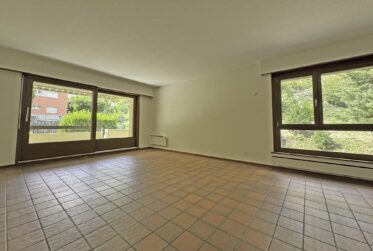 Bel appartement traversant de 4.5 pièces au bord de la Dranse