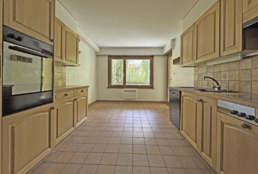 Bel appartement traversant de 4.5 pièces au bord de la Dranse